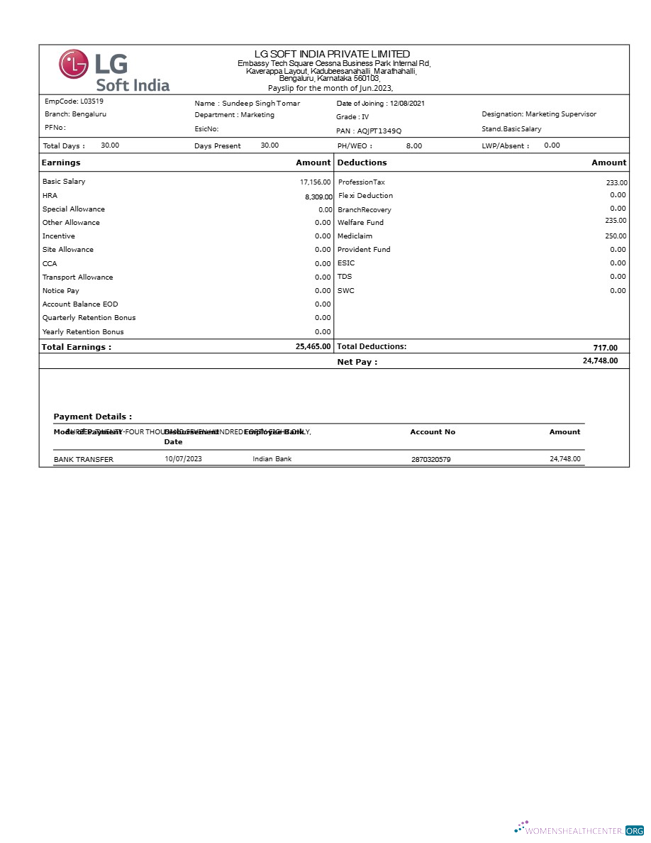 Download LG Soft India payslip template in Word and PDF formats.pdf, 1 Photoshop template